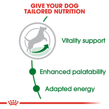 Load image into Gallery viewer, ROYAL CANIN Mini Adult 8+ Years Dog Food - 2kg &amp; 8kg
