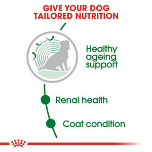 Royal Canin Mini Ageing 12+Years Dog Food - 1.5kg
