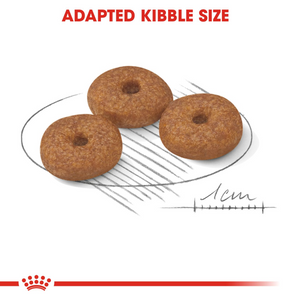 Royal Canin Mini Ageing 12+Years Dog Food - 1.5kg