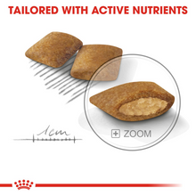 Load image into Gallery viewer, ROYAL CANIN® Mini Exigent Adult - 1kg &amp; 3kg
