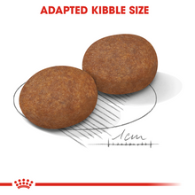 Load image into Gallery viewer, ROYAL CANIN Medium Ageing 7+ Adult Dog Food Lamb &amp; Rice - 10kg
