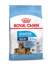 Load image into Gallery viewer, ROYAL CANIN Maxi Starter Mother &amp; Babydog Food - 15kg
