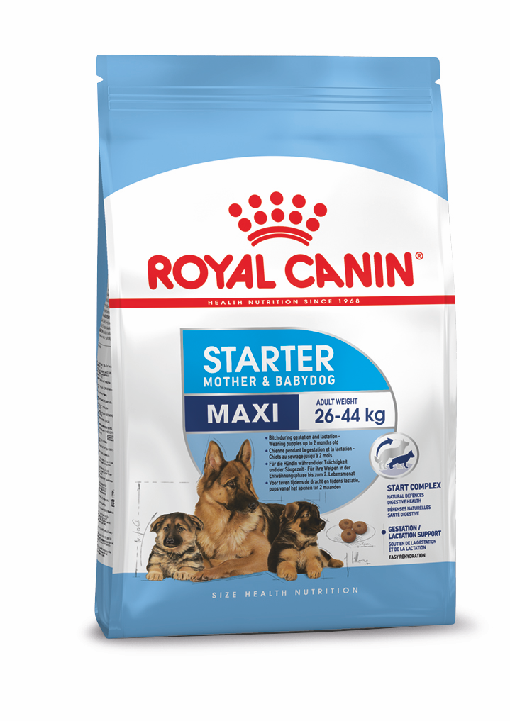 ROYAL CANIN Maxi Starter Mother & Babydog Food - 15kg
