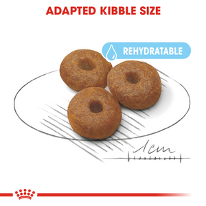 ROYAL CANIN Maxi Starter Mother & Babydog Food - 15kg