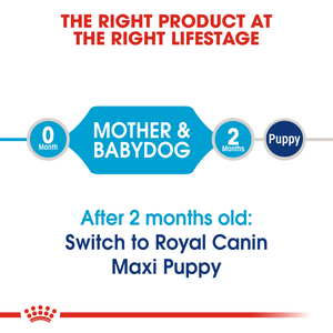 ROYAL CANIN Maxi Starter Mother & Babydog Food