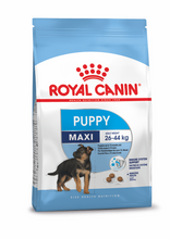 Load image into Gallery viewer, ROYAL CANIN® Maxi Puppy
