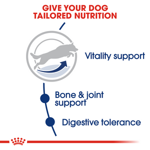 ROYAL CANIN® Maxi 5+ Yrs Dog Food - 15kg