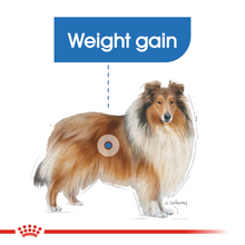 Load image into Gallery viewer, ROYAL CANIN® Maxi Light Weight Care - 12kg
