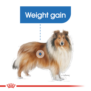 ROYAL CANIN® Maxi Light Weight Care