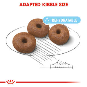 ROYAL CANIN Giant Starter Mother & Babydog Food - 15kg