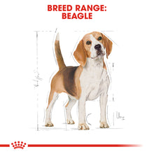 Load image into Gallery viewer, ROYAL CANIN® Beagle Adult Dog Food - 12kg
