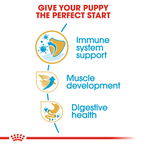 ROYAL CANIN Boxer Puppy Dog Food