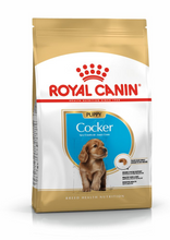 Load image into Gallery viewer, ROYAL CANIN Cocker Spaniel Puppy Dog Food
