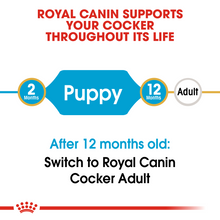 Load image into Gallery viewer, ROYAL CANIN Cocker Spaniel Puppy Dog Food
