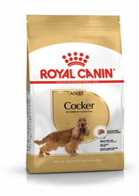 Load image into Gallery viewer, ROYAL CANIN Cocker Spaniel Adult Dog Food 12kg
