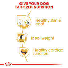 Load image into Gallery viewer, ROYAL CANIN Cocker Spaniel Adult Dog Food 12kg

