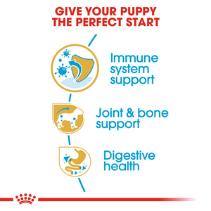ROYAL CANIN Dachshund Puppy Dog Food