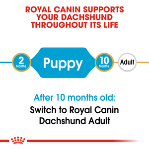 ROYAL CANIN Dachshund Puppy Dog Food