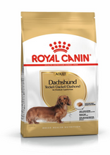 Load image into Gallery viewer, ROYAL CANIN Dachshund Adult Dog Food - 1.5kg or 7.5kg
