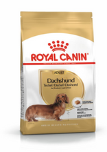 Load image into Gallery viewer, ROYAL CANIN Dachshund Adult Dog Food
