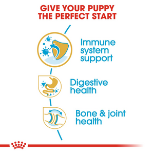 ROYAL CANIN English Bulldog Puppy Dog Food - 3kg or 12kg