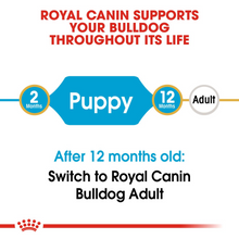 Load image into Gallery viewer, ROYAL CANIN English Bulldog Puppy Dog Food
