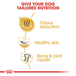 ROYAL CANIN English Bulldog Adult Dog Food - 12kg