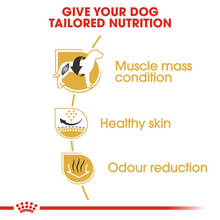 Load image into Gallery viewer, ROYAL CANIN Dog Food for Adult French Bulldogs - 3kg or 9kg

