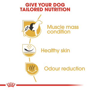 ROYAL CANIN Dog Food for Adult French Bulldogs - 3kg or 9kg