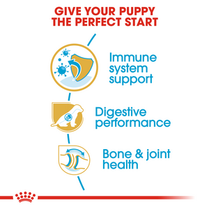 ROYAL CANIN German Shepherd Puppy Dog Food - 12kg