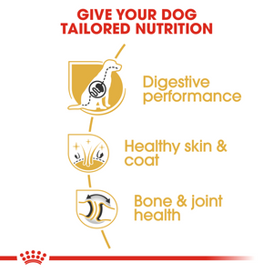 ROYAL CANIN German Shepherd Adult Dog Food - 11kg