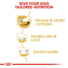 Load image into Gallery viewer, ROYAL CANIN Jack Russell Adult Dog Food - 1.5kg, 3kg or 7.5kg
