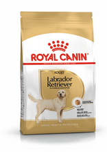 Load image into Gallery viewer, ROYAL CANIN Labrador Retriever Adult Dog Food
