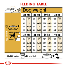Load image into Gallery viewer, ROYAL CANIN Labrador Retriever Adult Dog Food - 12kg
