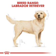 Load image into Gallery viewer, ROYAL CANIN Labrador Retriever Adult Dog Food
