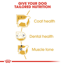 Load image into Gallery viewer, ROYAL CANIN Poodle Adult Dog Food 1.5kg or 7.5kg
