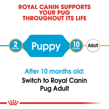 Load image into Gallery viewer, ROYAL CANIN Pug Puppy Dog Food
