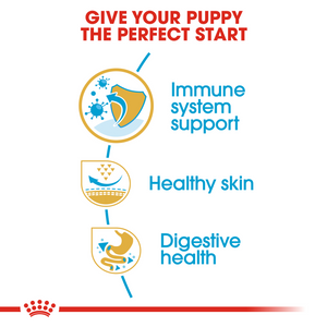 ROYAL CANIN Pug Puppy Dog Food