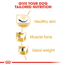 Load image into Gallery viewer, ROYAL CANIN Pug Adult Dog Food - 1.5kg or 3kg
