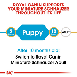 ROYAL CANIN Miniature Schnauzer Puppy Dog Food