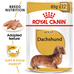 ROYAL CANIN Dachshund Adult Wet Dog Food Pouches