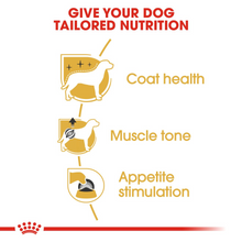 Load image into Gallery viewer, ROYAL CANIN Poodle Adult Wet Dog Food Pouches
