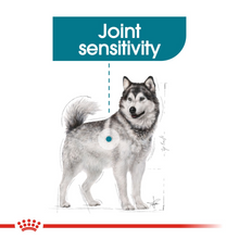 Load image into Gallery viewer, ROYAL CANIN Maxi Joint Care for Large Breed Adult Dog - 10kg
