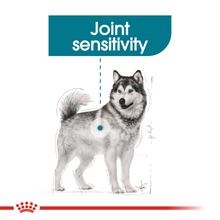 Load image into Gallery viewer, ROYAL CANIN Maxi Joint Care for Large Breed Adult Dog
