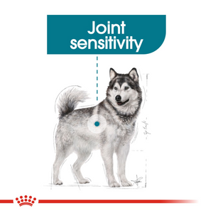 ROYAL CANIN Maxi Joint Care for Large Breed Adult Dog - 10kg