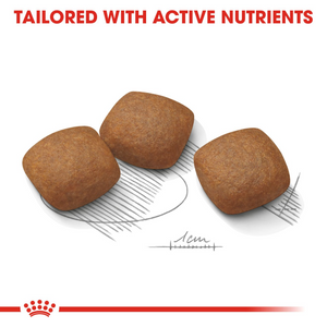 ROYAL CANIN Maxi Joint Care for Large Breed Adult Dog - 10kg