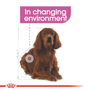 ROYAL CANIN® Relax Care Medium