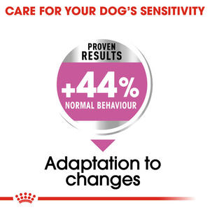 ROYAL CANIN® Relax Care Medium