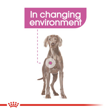Load image into Gallery viewer, ROYAL CANIN® Relax Care Maxi - 9kg
