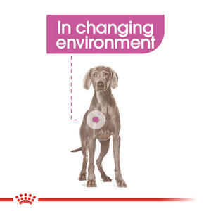 ROYAL CANIN® Relax Care Maxi - 9kg
